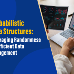 Leveraging Randomness for Efficient Data Management - KIT